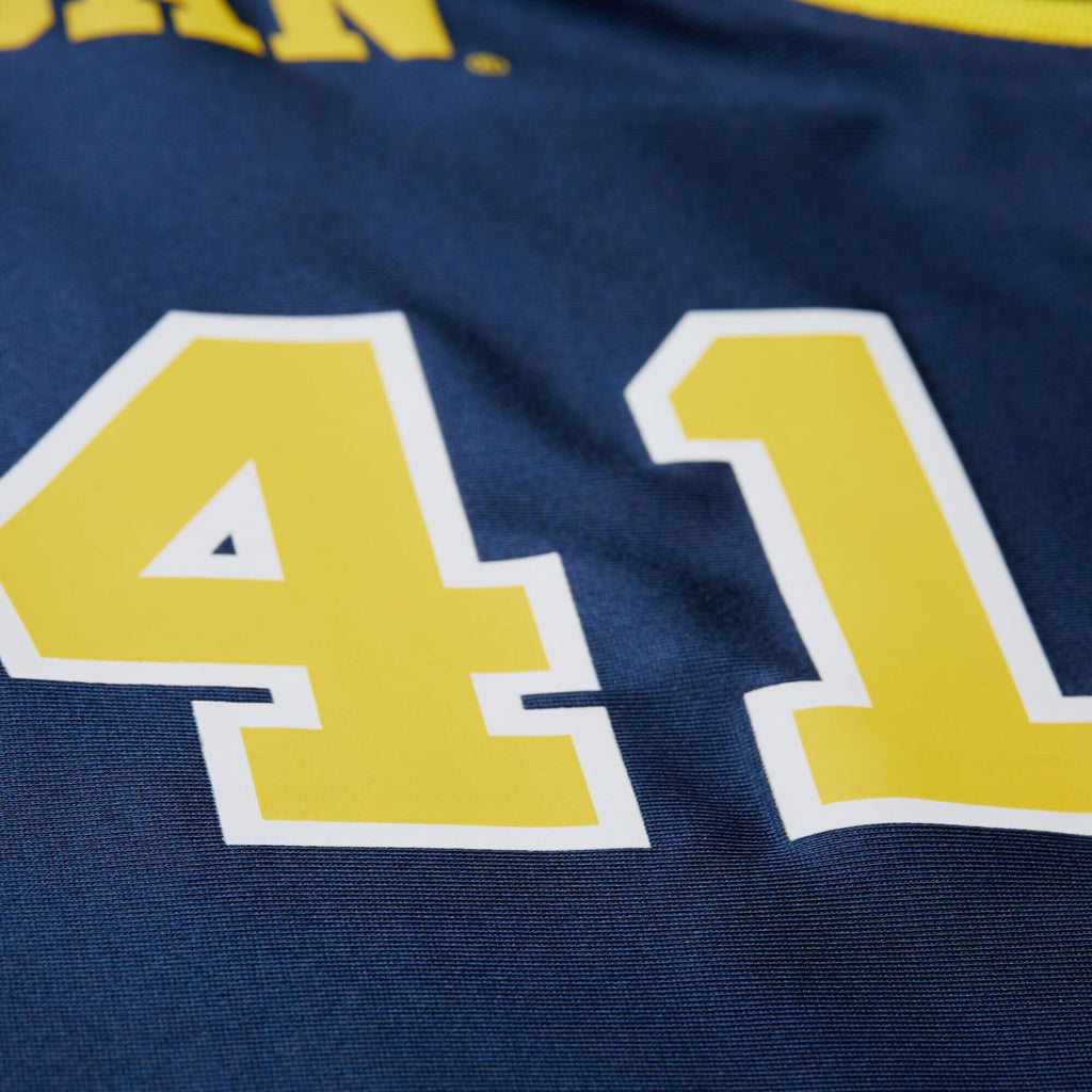 Mitchell & Ness Glen Rice Navy Michigan Wolverines 1988/89 Authentic Jersey