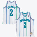 Charlotte Hornets Mitchell & Ness Larry Johnson 1992 Authentic Jersey - White