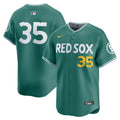 Boston Red Sox Garrett Crochet Nike Green 2025 City Connect Limited Player Jersey